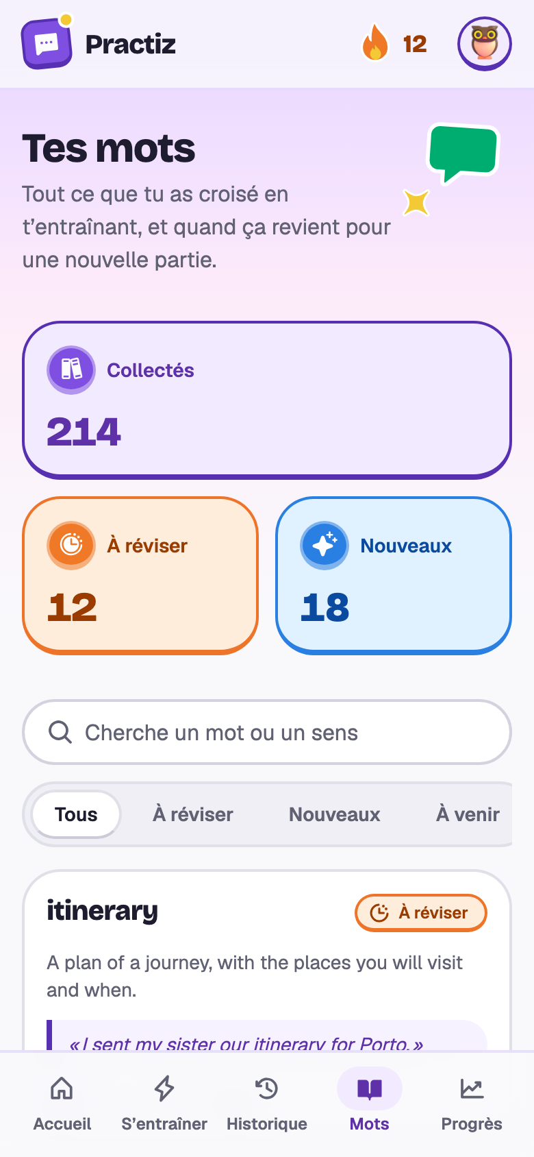 Les mots de Camille : 214 collectés, 12 à réviser, et des cartes pour itinerary, connection, fare, delayed, reservation et luggage.