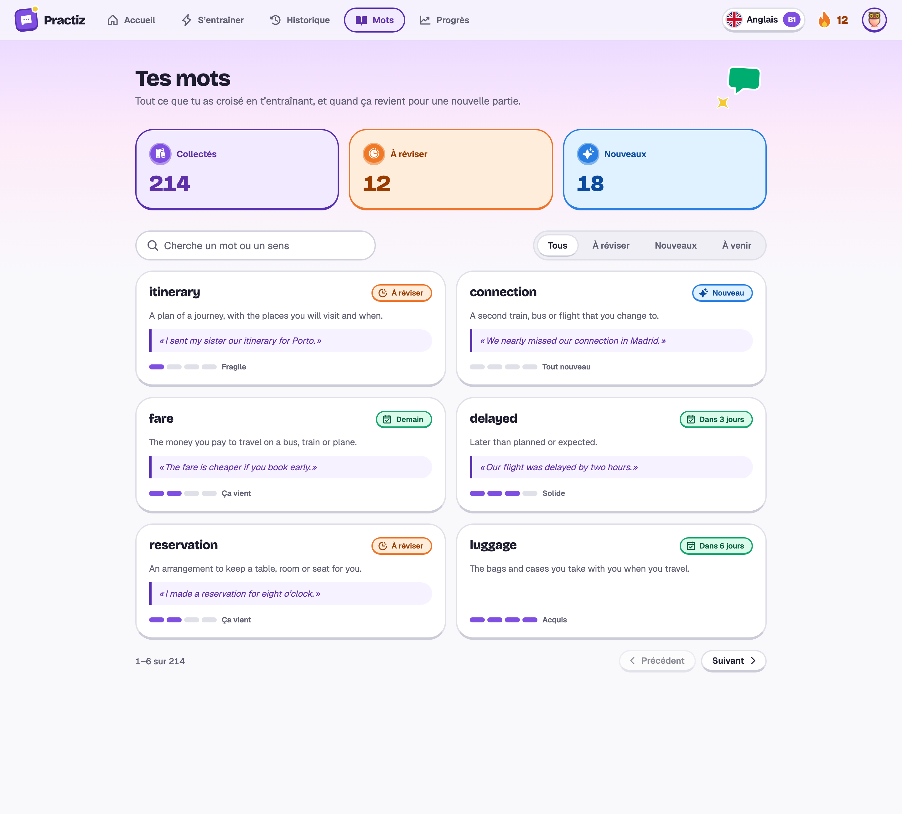 Les mots de Camille : 214 collectés, 12 à réviser, et des cartes pour itinerary, connection, fare, delayed, reservation et luggage.